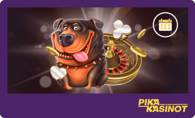 Valhalla Wins Casino kampanjoita löytyy monipuolisesti myös livepeleihin ja vetoihin.